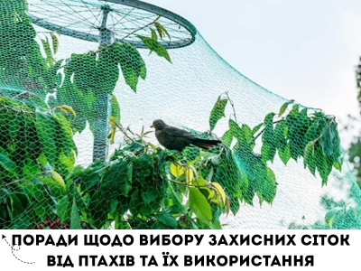Поради щодо вибору захисних сіток від птахів та їх використання
