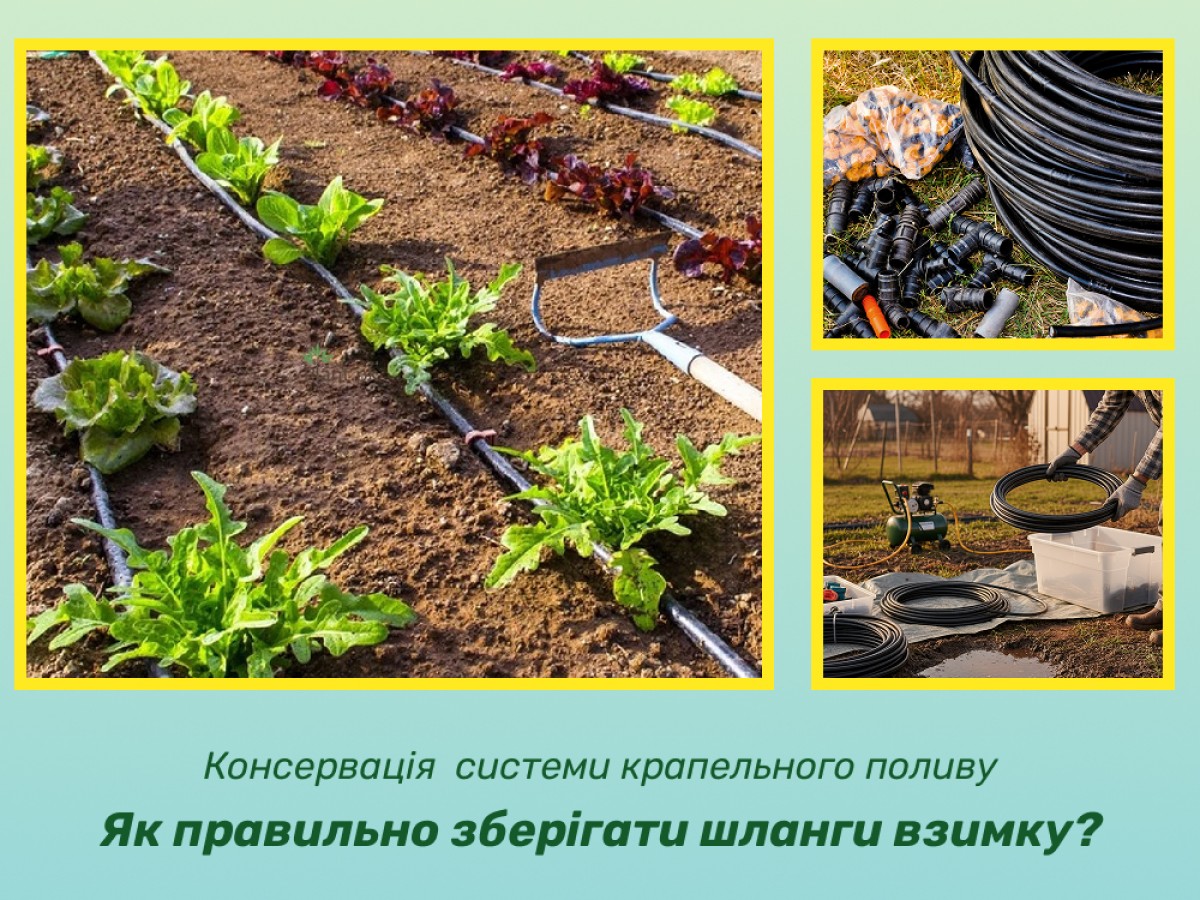 Консервация системы капельного полива: как правильно слить воду и хранить трубки, чтобы мороз их не уничтожил