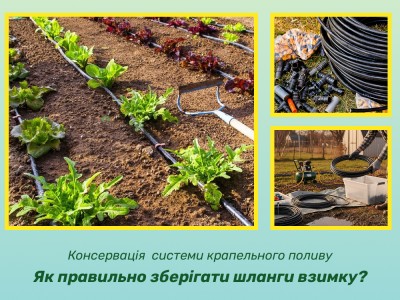 Консервация системы капельного полива: как правильно слить воду и хранить трубки, чтобы мороз их не уничтожил