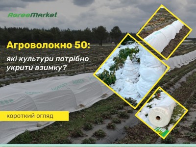 Агроволокно укрывное 50 г/м2: для каких культур нужно зимой?