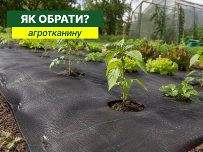 Агроткань для огорода и теплицы: как подобрать плотность, цвет и ширину