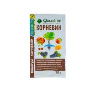 Корневин 10 г.