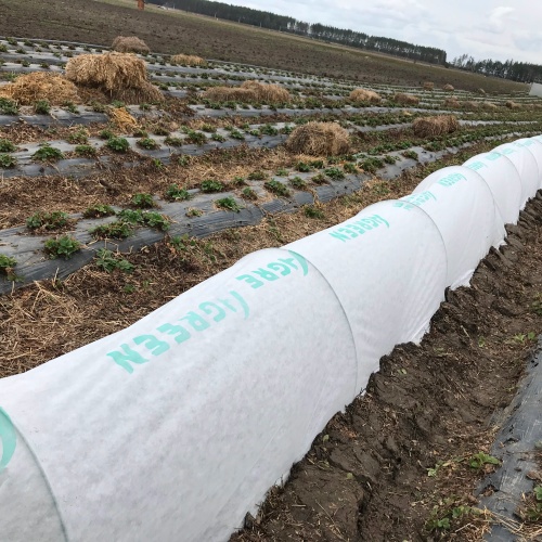 Агроволокно белое Agreen плотность 50 (1,6х100)