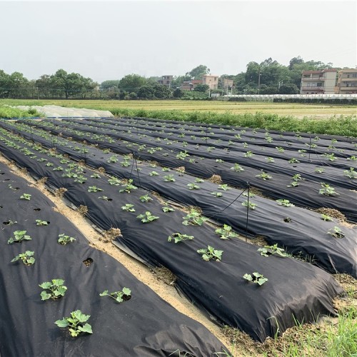  Агроволокно Bradas черное плотность 50 (1,6х100)