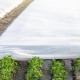 Агроволокно белое Agreen плотность 23 (6,35х200)