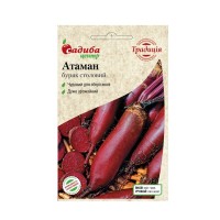 Буряк столовий Атаман, 2 г. Традиція (Садиба Центр)