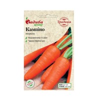Морква Кампіно, 2 г. Традиція (Садиба Центр)