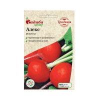 Редис Алекс, 2 г. Традиция (Садыба Центр)
