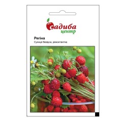 Земляника Регина 0,2 г. (Садыба Центр)