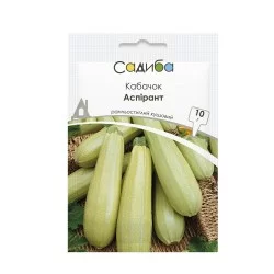 Кабачок Аспірант, 10 г. Садиба