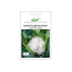 Капуста ранняя цветная Опал 20 шт