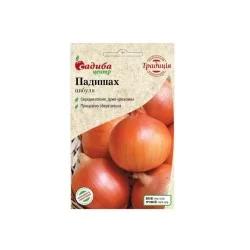 Лук Падишах, 1 г. Традиция (Садыба Центр)
