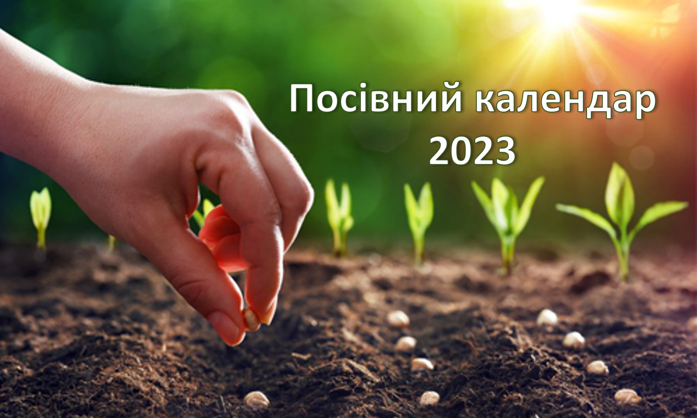 Посевной календарь 2023